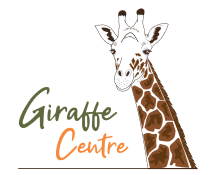 African Fund for Endangered Wildlife - Giraffe Centre